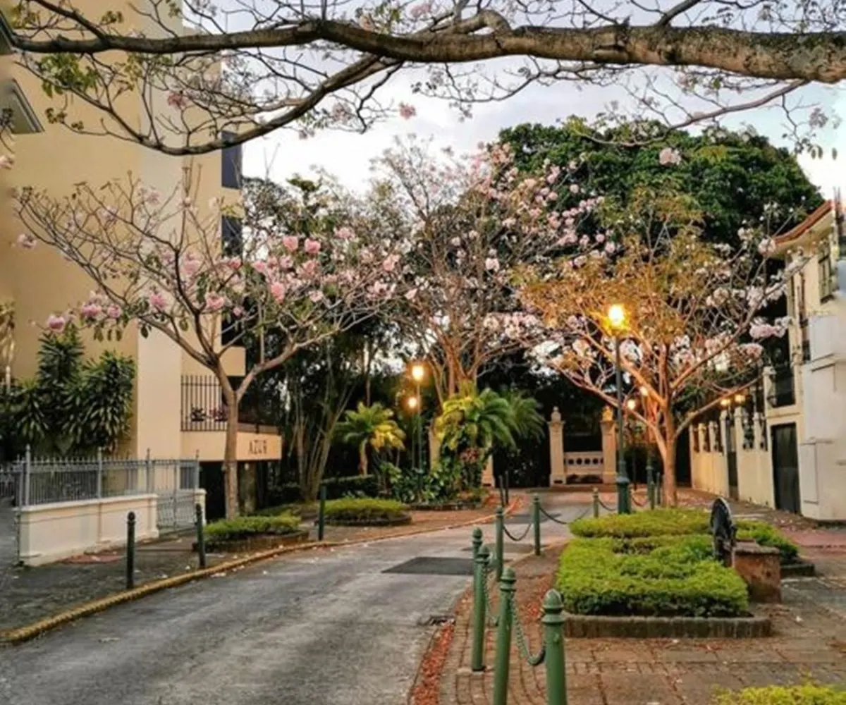 0b2234cd a456 4efc 8c34 fcf0d09b176b 1200x1000