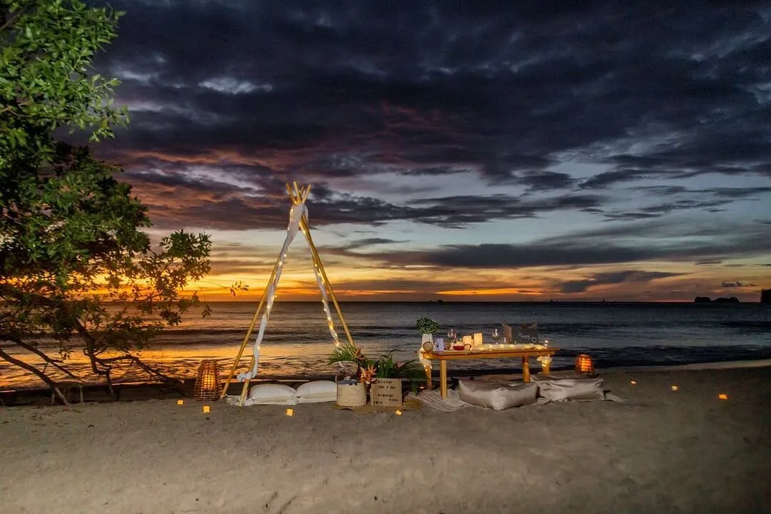 imagine picnic live a