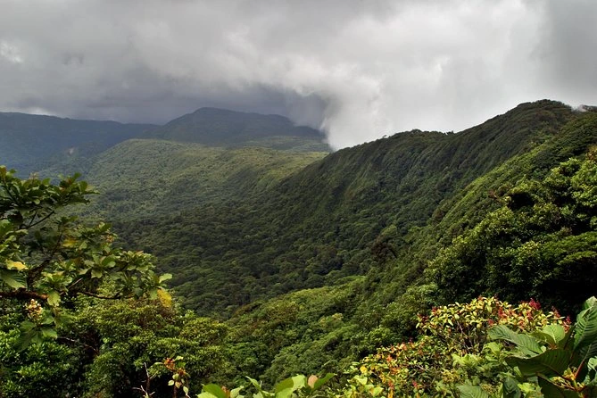 "Scenic misty mountain views in Monteverde, one of the best national parks in Costa Rica for nature lovers"