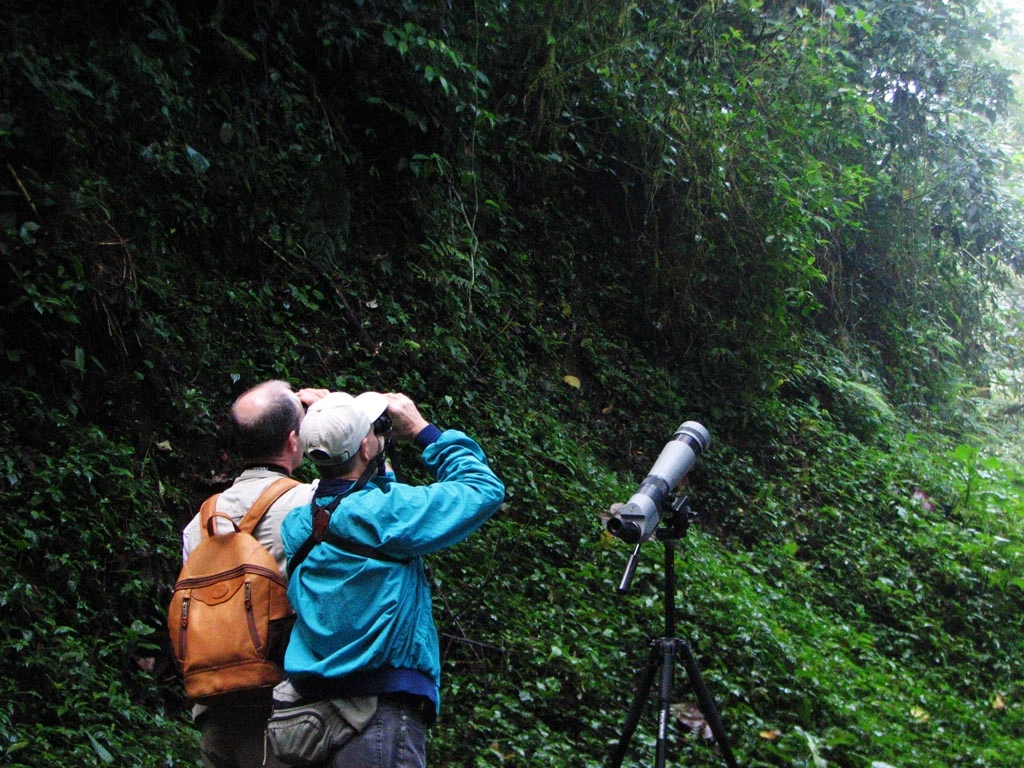 Two birdwatchers using binoculars and a spotting scope to observe wildlife in a forest