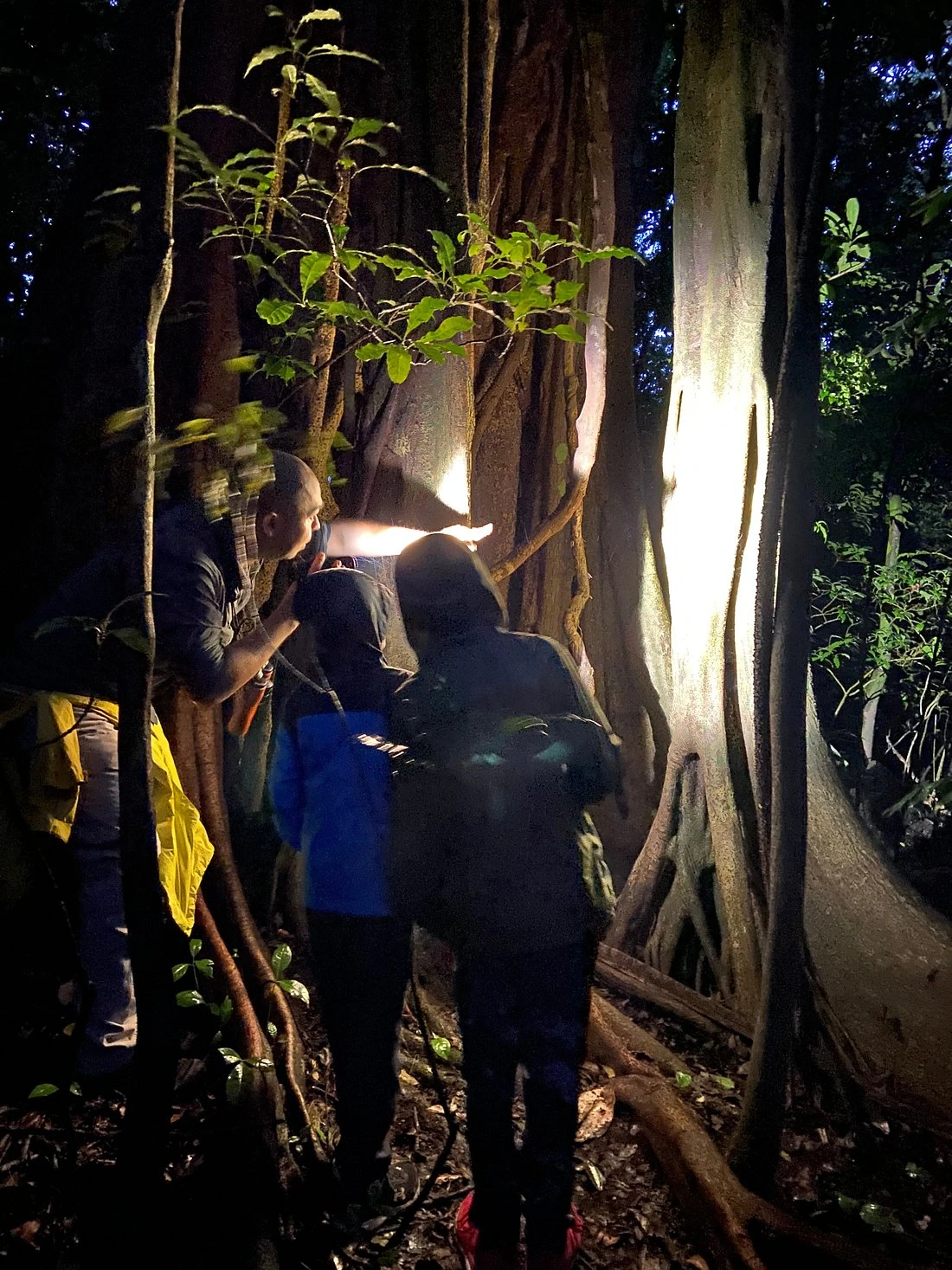 "Tourists on a guided night tour, one of the best things to do in Monteverde Costa Rica to see nocturnal wildlife"