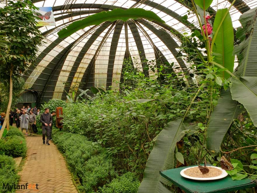"Adventure seekers enjoying the best zipline tours in Costa Rica, a top thing to do in Monteverde"