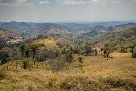 "Scenic dry forest landscape view, a hidden gem in Costa Rica often seen while renting a car in Costa Rica"