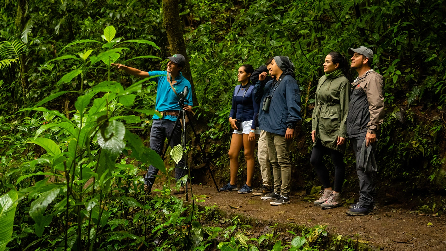 Professional guide leading a group of tourists on a nature trek in a lush tropical rainforest