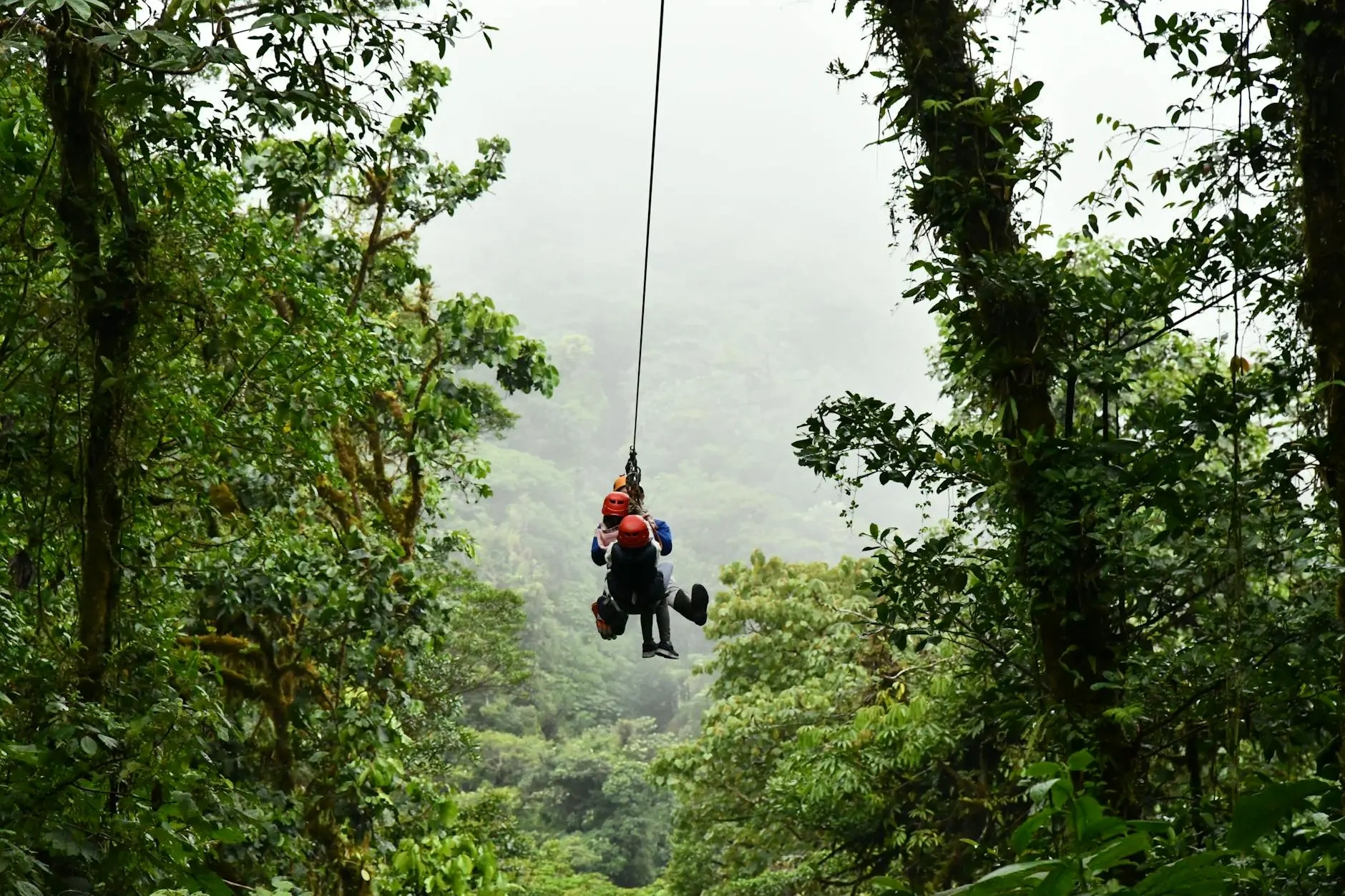 People ziplining through a misty cloud forest canopy during an adventure tour